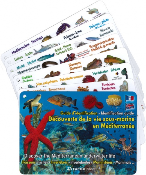 Guide d\'identification M�diterran�e Immergeable