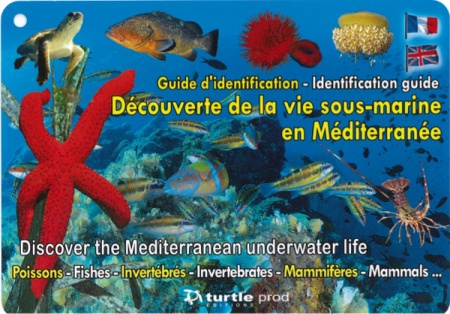 Guide d\'identification Méditerranée Immergeable