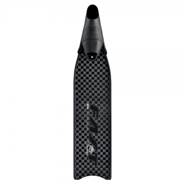 Palmes C4 Dessault Fast HD
