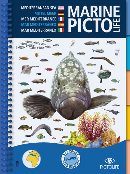 Plong�e Plaisir Niveau 1